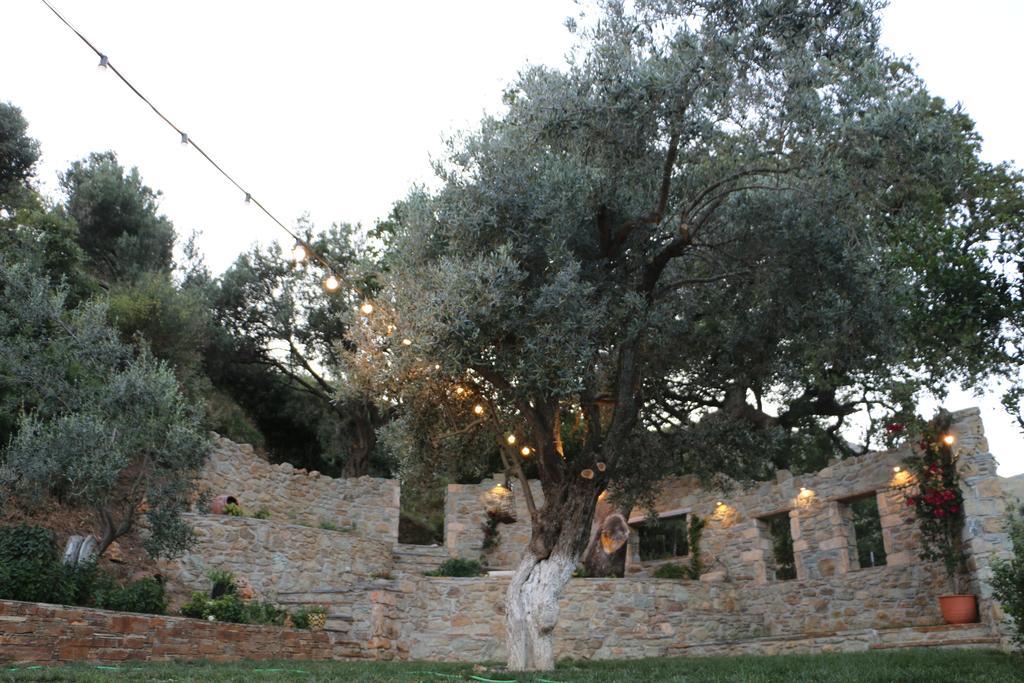 Naiades Villas Karystos  Buitenkant foto